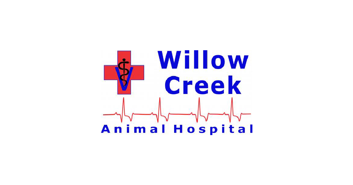 HighQuality Vet Hospital in Sanford, NC Willow Creek Animal Hospital